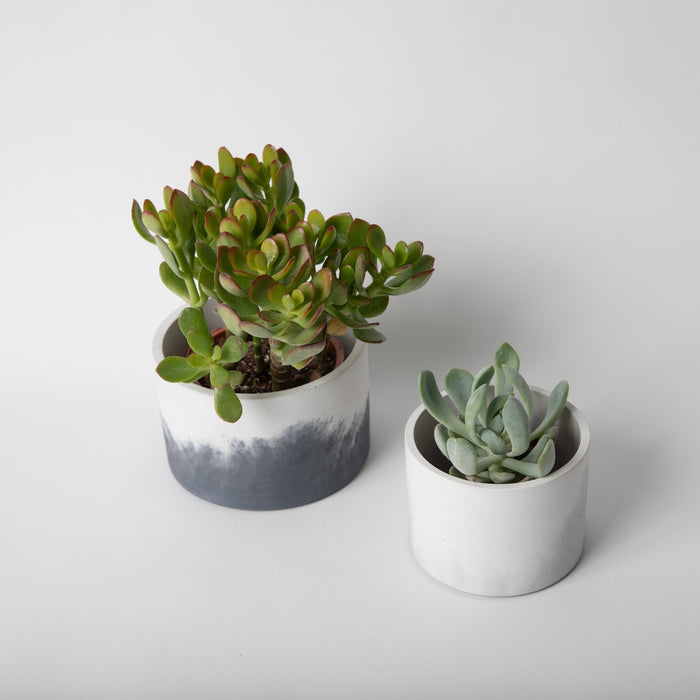 4" Vessels - pretti.cool