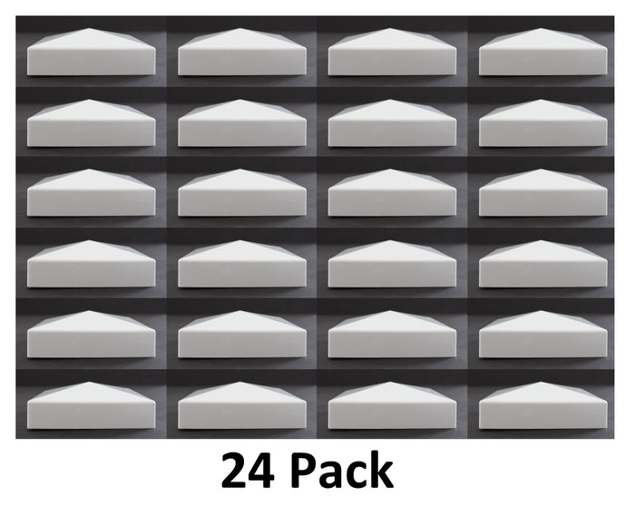 White / 24 Caps