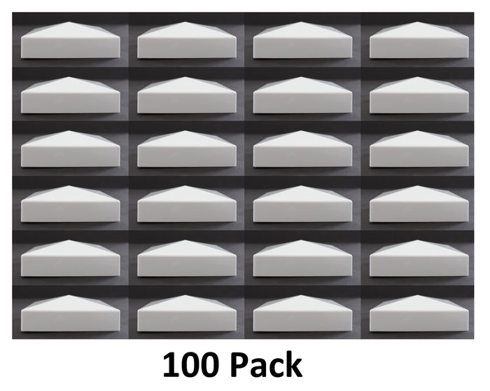 White / 100 Caps