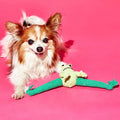 Frog Dog Toy - pretti.cool