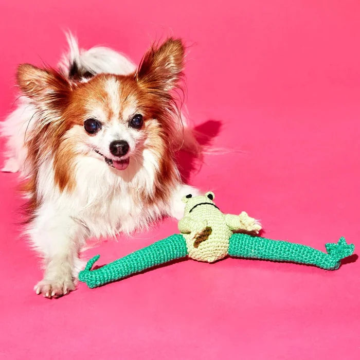 Frog Dog Toy - pretti.cool