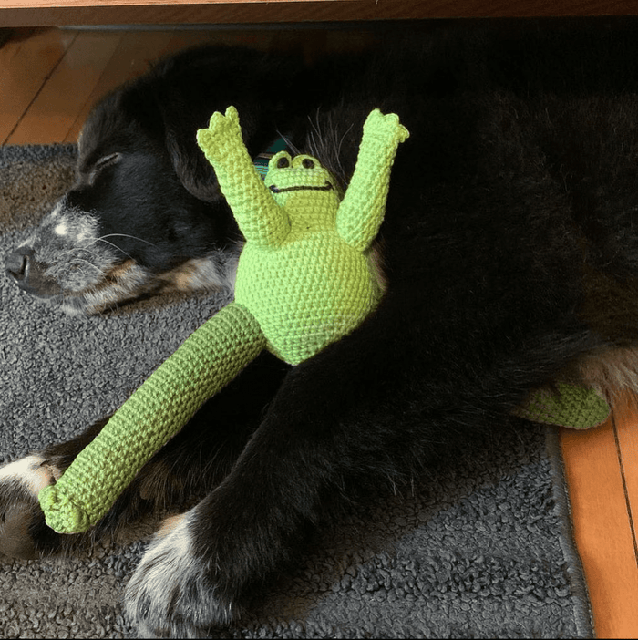 Frog Dog Toy - pretti.cool
