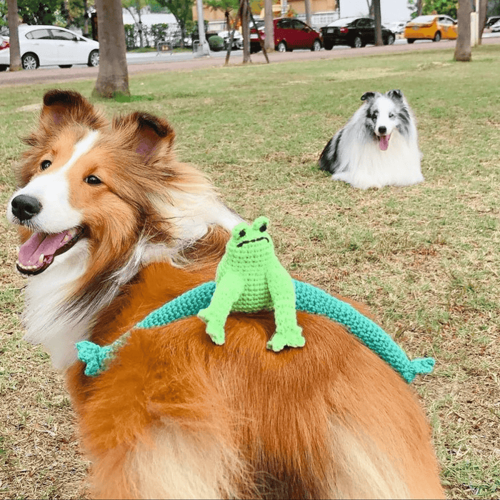 Frog Dog Toy - pretti.cool