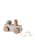Pop-up Pull-along Toy