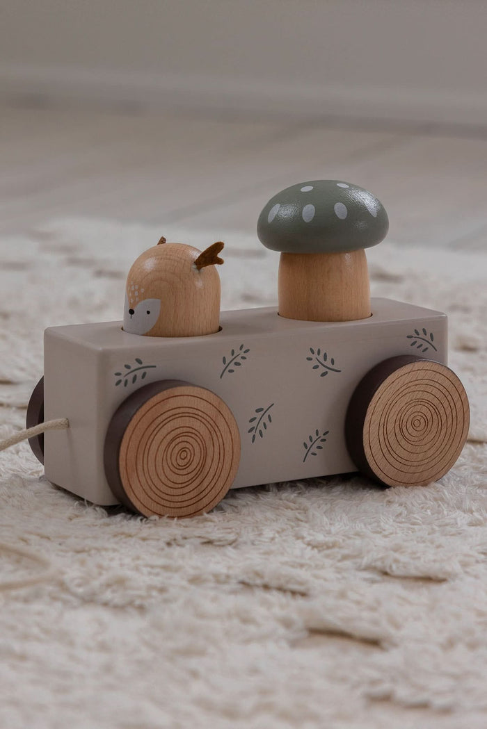 Pop-up Pull-along Toy