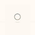 Titanium Opal Front Hinged Ring - Hinged Ring - Lulu Ave Body Jewelery